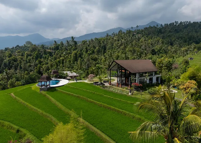 Meadow Hills By Mahaprana