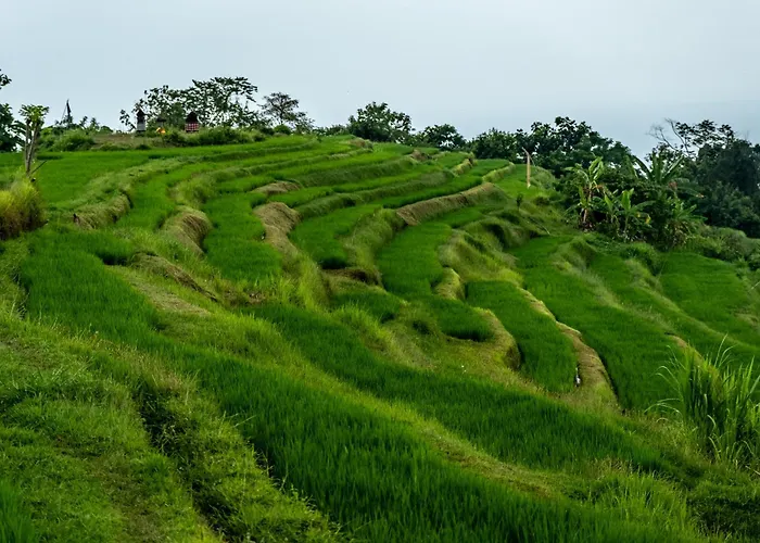 Meadow Hills By Mahaprana Orman Evi