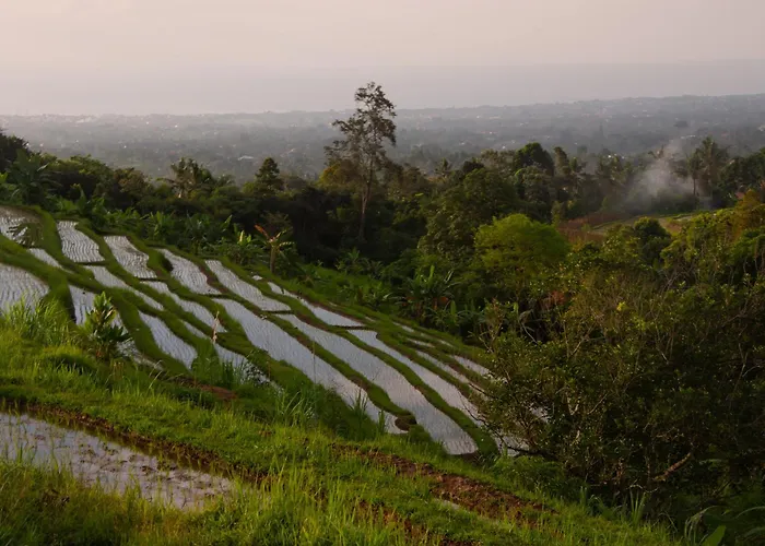 Meadow Hills By Mahaprana Orman Evi